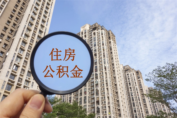 石家庄公积金取（最新取住房公积金流程）